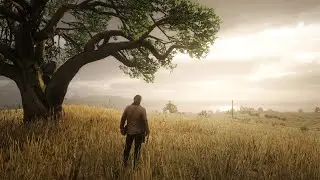 The Insane Weather System of Red Dead Redemption 2