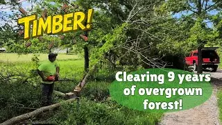 Good Friends Keep Showing Up For Us / Clearing our land! 