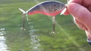 Flatside Propbait