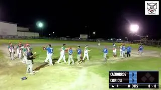 Liga de Softball 2026