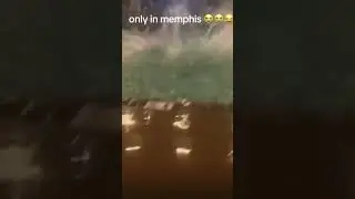 ONLY IN MEMPHIS 🛢️💀😂🤖 #memphis #meme