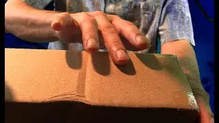 ☤ Box Of ASMR Tingles Delivery ☤