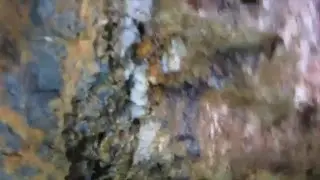Quartz / Limonite stringer we're taking samples from
