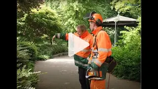 Werken in het Groen bij Promen