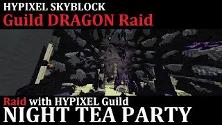 Minecraft Hypixel SkyBlock Guild Dragon Raid 2/23 NightTeaParty