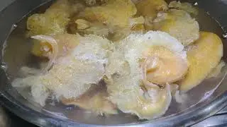 Cooking Time / sharks fin #subscribe #food #cooking #