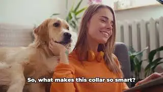 Dog Tech Revolution  Gadgets and Gear for modern high tech canines