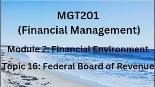 MGT201(Financial Management) Module 2(Financial Environment) Topic 16:Federal Board of Revenue (FBR)