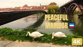 Maribor, Slovenia Walking Tour [4K] | Old Town, Drava River, City Center & Walk