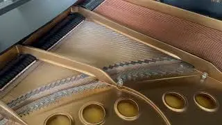 1989 Steinway Model M For Sale