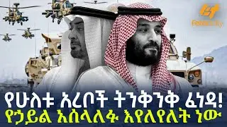 Ethiopia - የሁለቱ አረቦች ትንቅንቅ ፈነዳ! የኃይል አሰላለፉ እየለየለት ነው