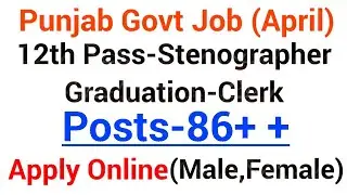 Govt jobs in Punjab in April 2019|Punjab govt jobs|Latest Punjab govt jobs 2019