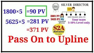 silver director income