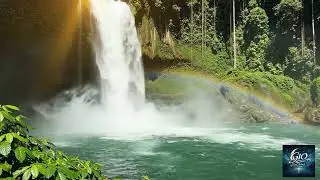 Midday Nature Ambience  Relaxing Scenery & Calm Sound