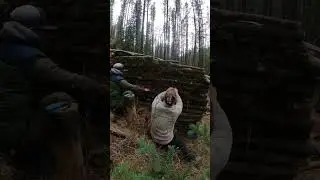 Adding insulation to our bushcraft shelter #bushcraftshelter #bushcraft #shelterbuilding #survival