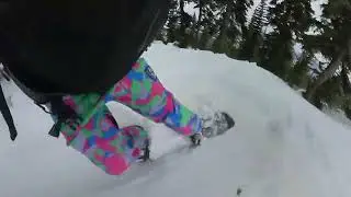 2024-01-20-Blackcomb-Snowboarding Bark Sandwich x Renegade Glade