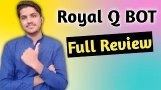 Royal Q | Royal Q bot review | Earn up to 10% Profit from Royal Q App.