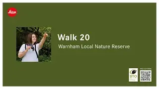 Back to my local patch, Warnham LNR - 20th '21 Wildlife Walks!'