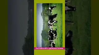 Английский с уловольствием. Диалог 