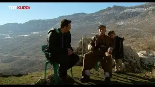 Rêwî - Beşa 376. Şırnak