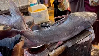 Incredible Giant Catfish Cutting In Fish Market | Amazing Fish Cutting Skills