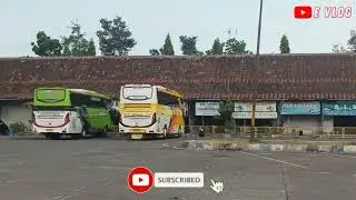 Bus Tividi 