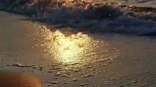 Immersive Ocean Waves Sound.