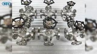 NSV Half Jacketed Globe Valve