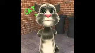 Talking Tom - Girls talkin bout