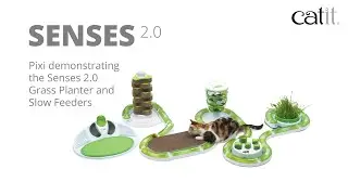 Catit - Pixi demonstrates the 2.0 Senses Line