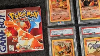 Inside a Vast Vintage Pok&eacute;mon Collection