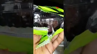 Elite jack fruit pudding cake unboxing#SHORTS