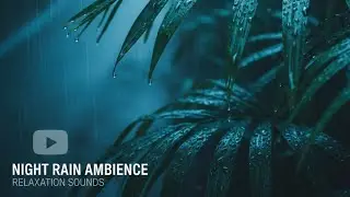 Heavy Rain at Night | 1 Hour Natural Rain Sounds for Sleep & Relaxation