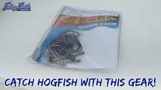 Our Recommended Gear For Fishing For Hogfish! | Fishing Florida Charters