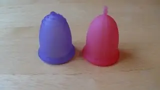 Si-Bell vs Fleurcup