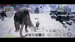Having Fun with Monarcas (the PvP guild) 🤣