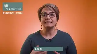 The Good, The Bad and The Ugly of the PMO Profession