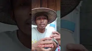 obat wereng #feedshorts #algoritma #shortsfeed #farming #blora#jangkauanluas#monetisasi#fyp#bloraja