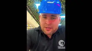 Control de Aves y Palomas en las Empresas Colombianas 🇨🇴