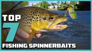 Catch More Fish with the Top 7 Spinnerbaits of 2025!