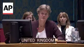 UK pledges commitment to Ukraine's sovereignty at Security Council meeting