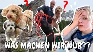 VERIRRT im LABYRINTH von LATEMAR I WanderVlog am Karersee