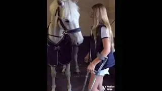 Happy birthday blue! 🫐🥹 #like #horse #equestrian #viral #fyp #shorts #follow #edit #cute