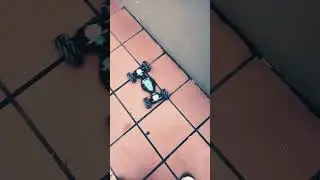 Amazing remote control car #amazing #remotecontrol #youtubeshorts