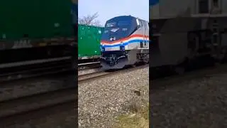 escape the penguin train engineer upset I crossed the tracks!