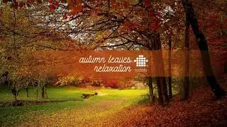 HALF HOUR Music For Relaxing | Autumn Leaves Relaxation (Chill-out Music)
