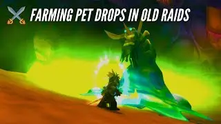 CozyAzeroth: Farming Pet Drops in Old Raids (Naxxramus & Temple of Ahn'Qiraj)