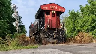 [4K] Rare Movement! Long Hood Forward Gevo On The Thorold Spur