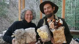 Get Started Growing Your Own Mushrooms Part 1