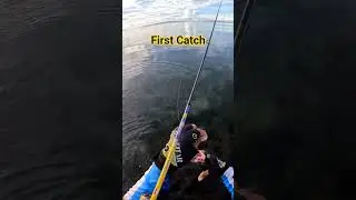 First Catch Checkered Snapper #firstcatch #checkered #snapper #fishing #shorecasting #shorefishing